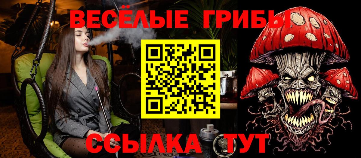 наркота  Вход с VPN  Красный Сулин  Галлюциногенные грибы Psilocybe 
