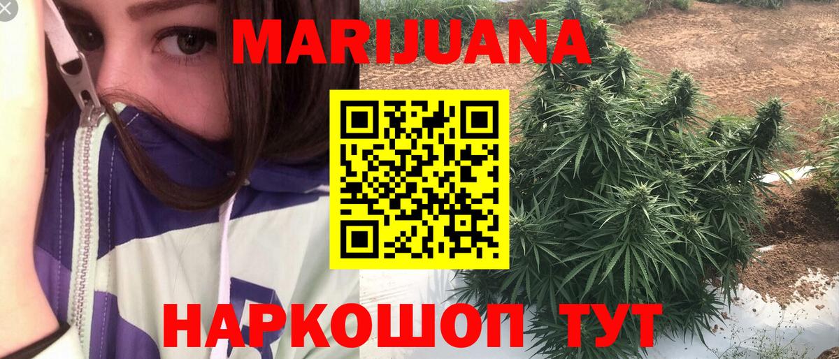Бошки Шишки SATIVA & INDICA  Каннабис семена  Каннабис конопля  Красный Сулин  Вход с VPN 